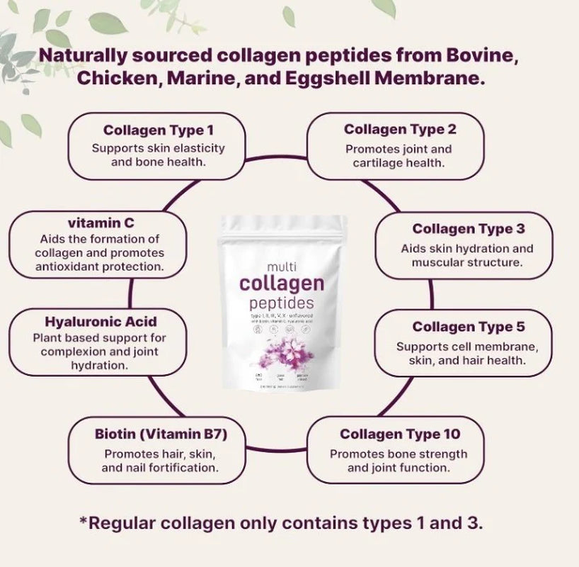 Multi Collagen Powder