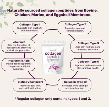 Multi Collagen Powder