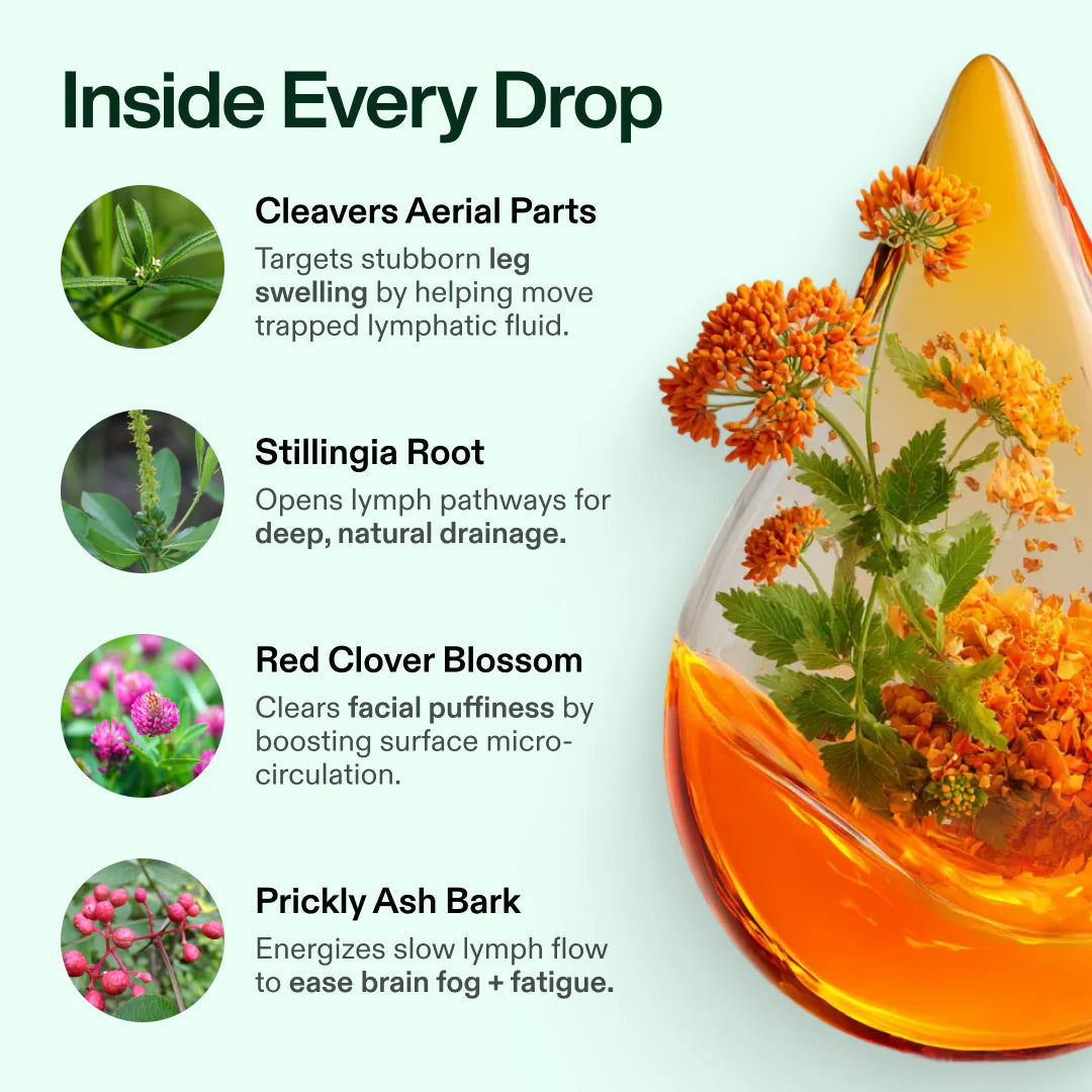 Organic Lymphatic Support Wellness Drops