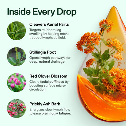 Organic Lymphatic Support Wellness Drops